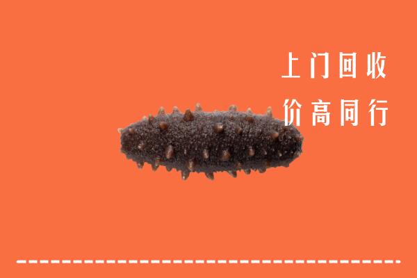 高价求购：吴忠回收海参